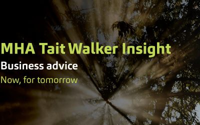 MHA Tait Walker Insight – Business advice, now for tomorrow